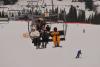image059_t1.jpg