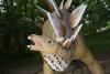 dinopark03_t1.jpg