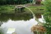 dinopark16_t1.jpg